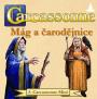 Carcassonne 3: Mág a čarodějnice