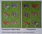 Carcassonne 3: Německé kláštery III Screenshot