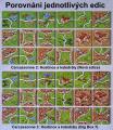 Carcassonne 3: Hostince a katedrály (Big Box 7) Screenshot